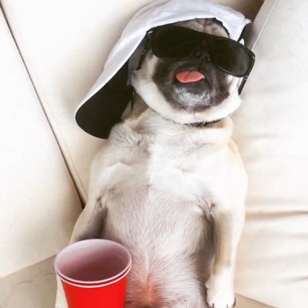 Bildschirmarbeiter - Picdump 24.04.2015