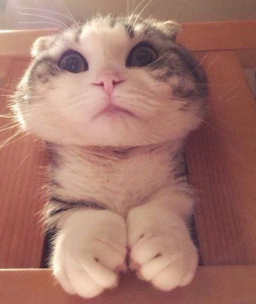 Bildschirmarbeiter - Picdump 24.04.2015