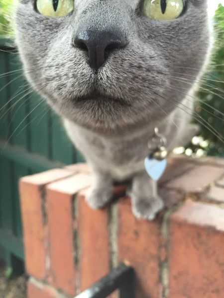 Bildschirmarbeiter - Picdump 24.04.2015