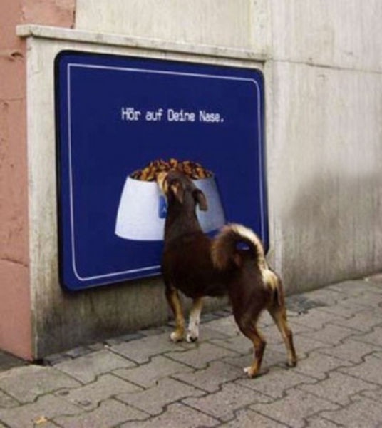 Bildschirmarbeiter - Picdump 24.04.2015