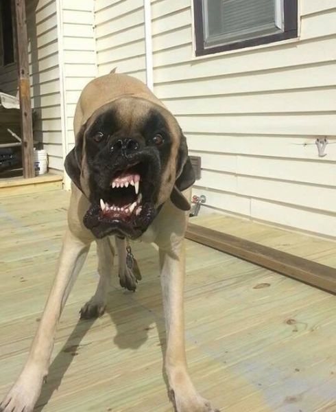 Bildschirmarbeiter - Picdump 24.04.2015