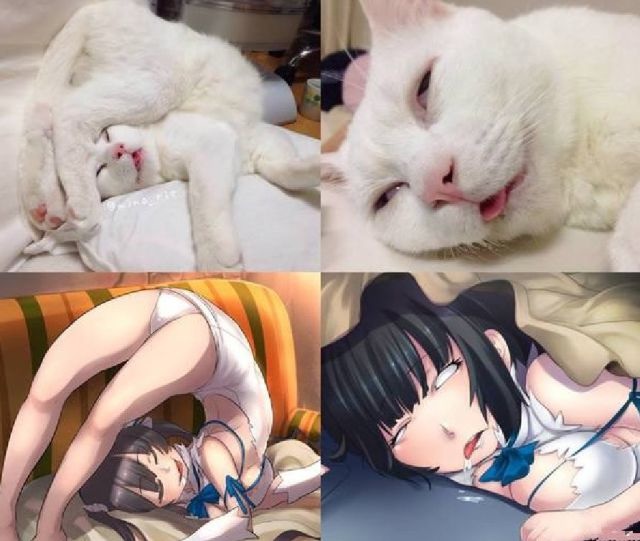 Bildschirmarbeiter - Picdump 24.04.2015