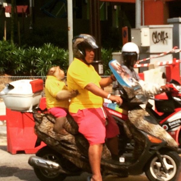 Bildschirmarbeiter - Picdump 24.04.2015