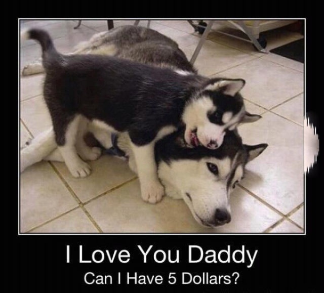 Bildschirmarbeiter - Picdump 24.04.2015