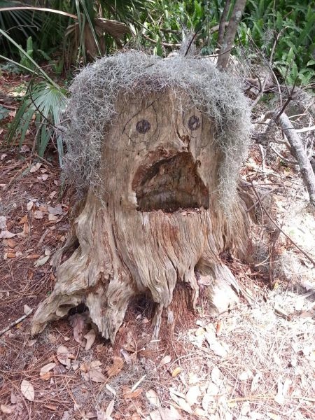 Bildschirmarbeiter - Picdump 24.04.2015