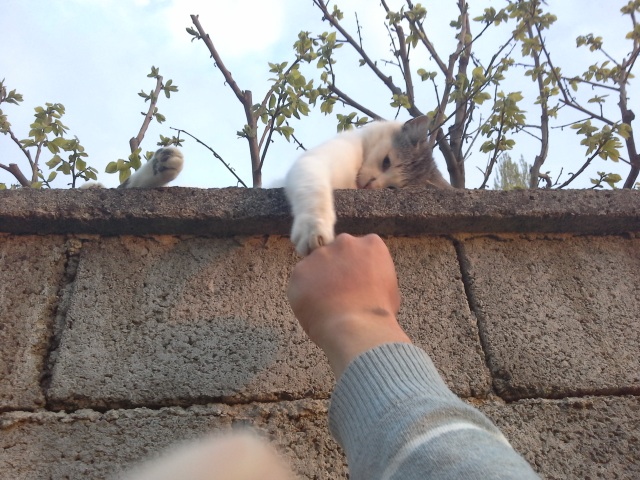 Bildschirmarbeiter - Picdump 24.04.2015