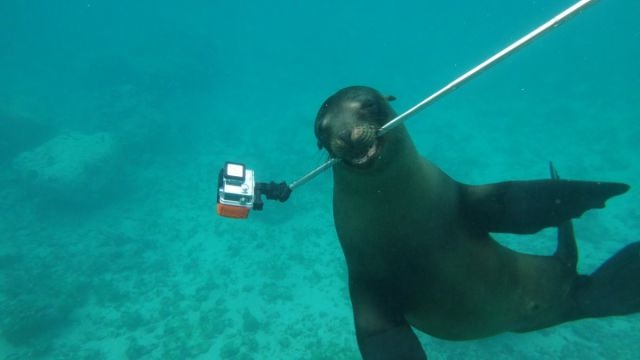 Bildschirmarbeiter - Picdump 01.05.2015