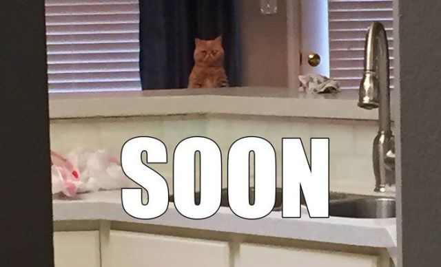 Bildschirmarbeiter - Picdump 01.05.2015