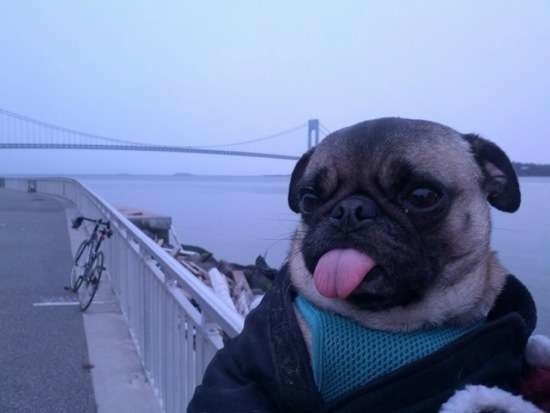 Bildschirmarbeiter - Picdump 01.05.2015