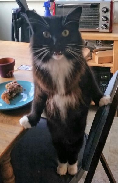 Bildschirmarbeiter - Picdump 01.05.2015