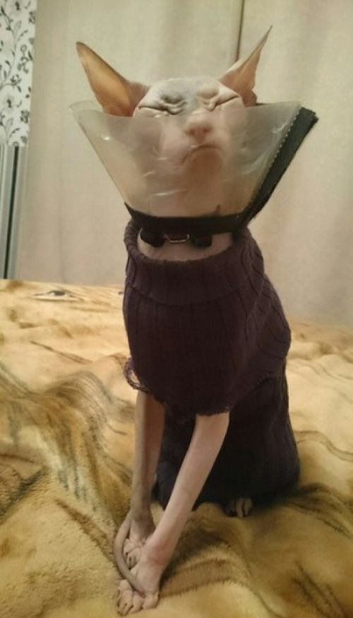 Bildschirmarbeiter - Picdump 01.05.2015