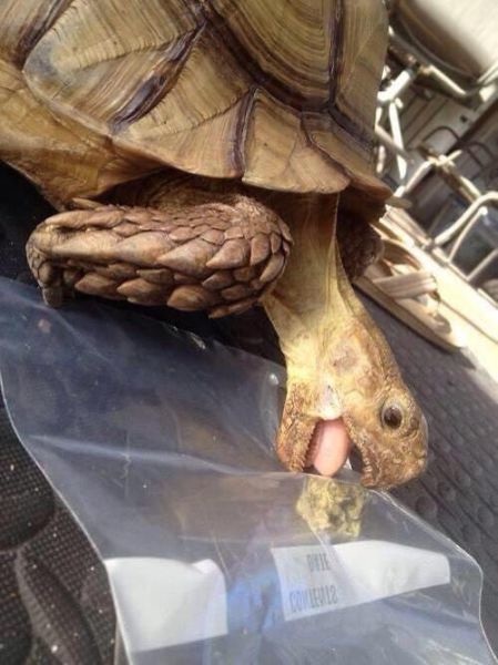 Bildschirmarbeiter - Picdump 01.05.2015