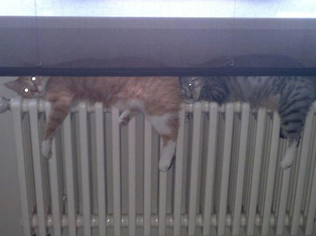 Bildschirmarbeiter - Picdump 01.05.2015