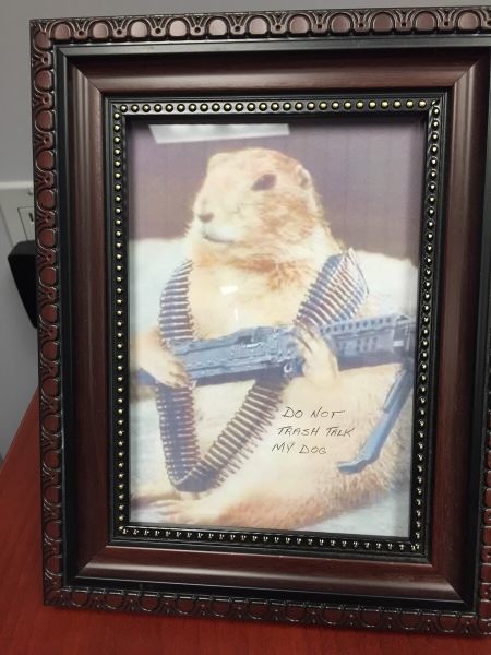 Bildschirmarbeiter - Picdump 01.05.2015