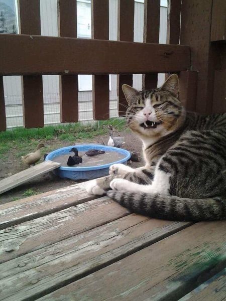 Bildschirmarbeiter - Picdump 01.05.2015