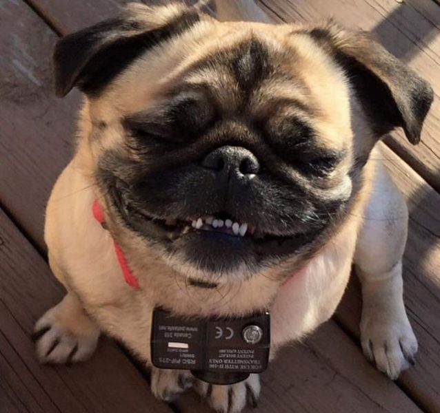 Bildschirmarbeiter - Picdump 01.05.2015