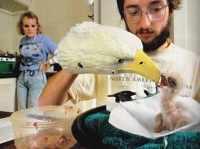 Bildschirmarbeiter - Picdump 01.05.2015