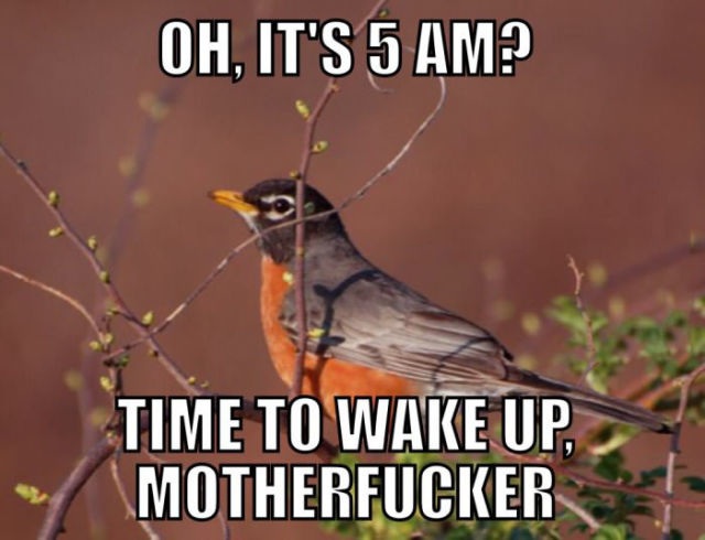 Bildschirmarbeiter - Picdump 01.05.2015