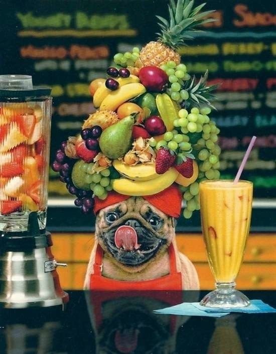 Bildschirmarbeiter - Picdump 01.05.2015