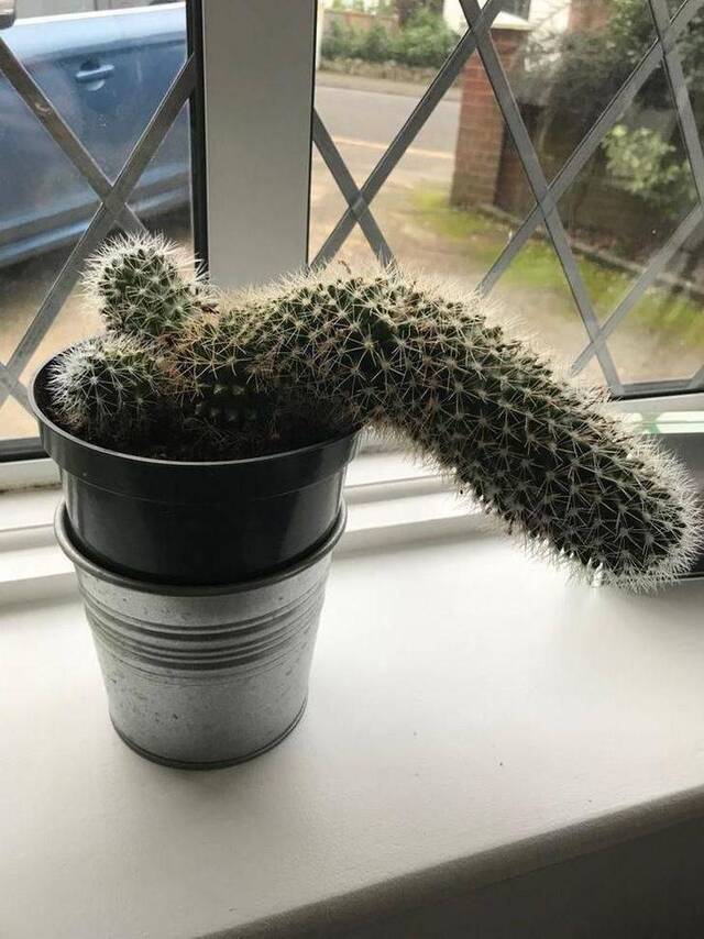 Bildschirmarbeiter - Picdump 03.05.2019