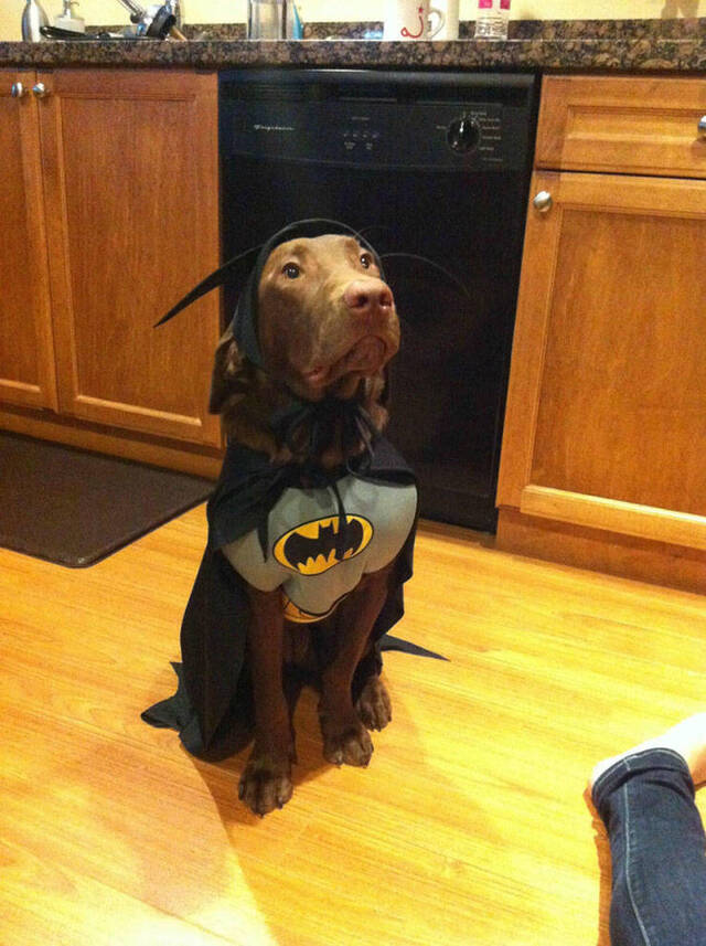 Bildschirmarbeiter - Picdump 03.05.2019