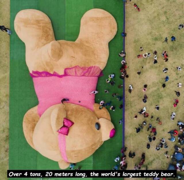 Bildschirmarbeiter - Picdump 03.05.2019