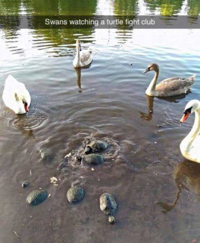 Bildschirmarbeiter - Picdump 03.05.2019