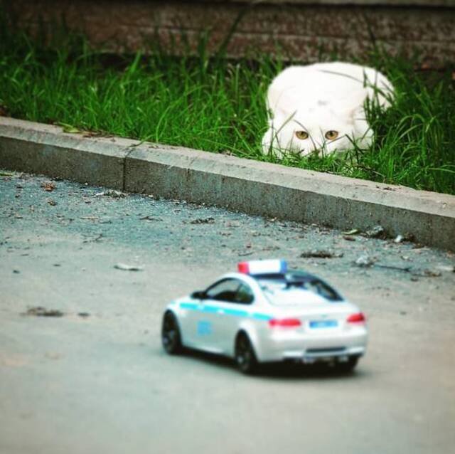 Bildschirmarbeiter - Picdump 03.05.2019