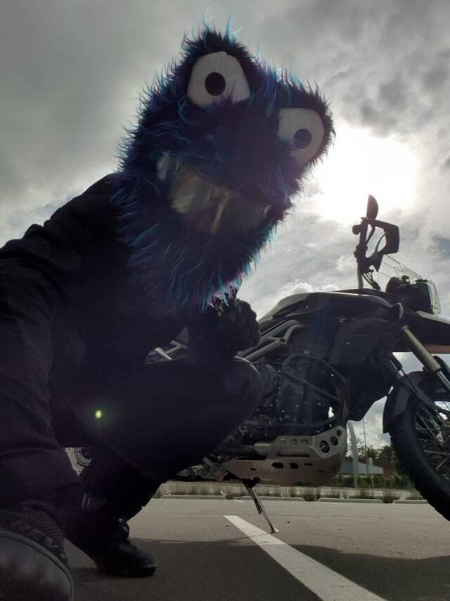 Bildschirmarbeiter - Picdump 03.05.2019