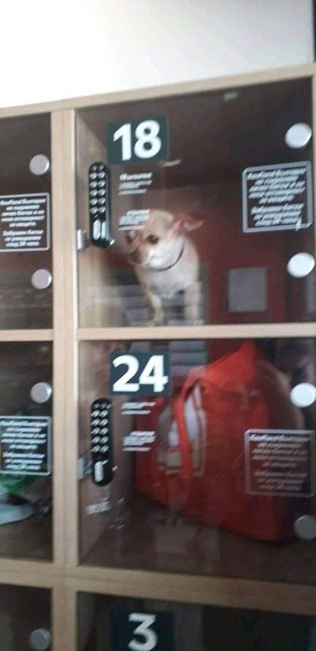 Bildschirmarbeiter - Picdump 03.05.2019