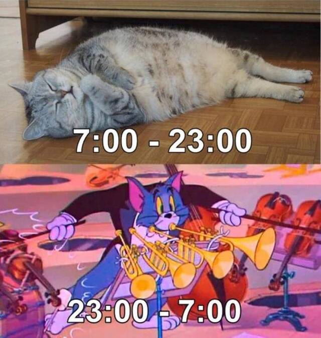 Bildschirmarbeiter - Picdump 03.05.2019