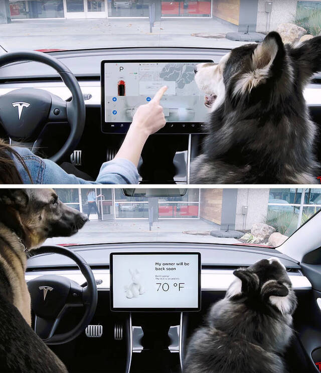 Bildschirmarbeiter - Picdump 03.05.2019