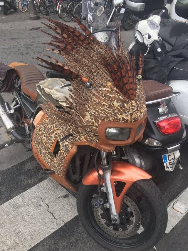 Bildschirmarbeiter - Picdump 03.05.2019