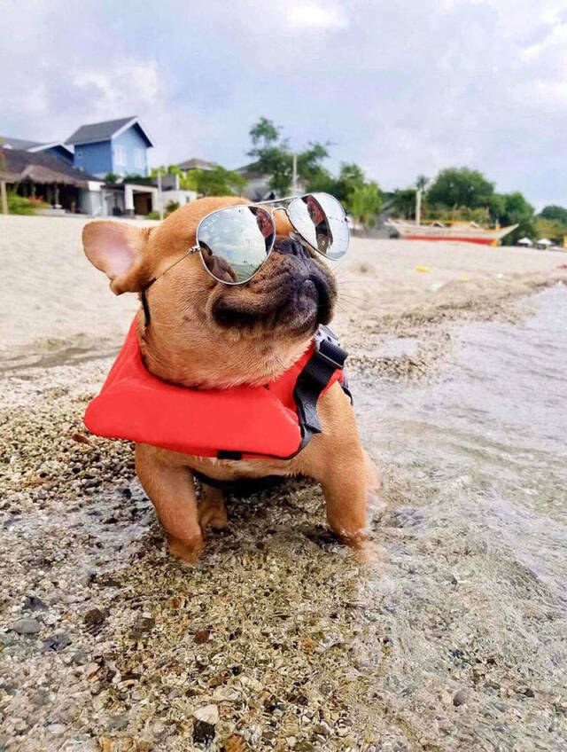 Bildschirmarbeiter - Picdump 03.05.2019