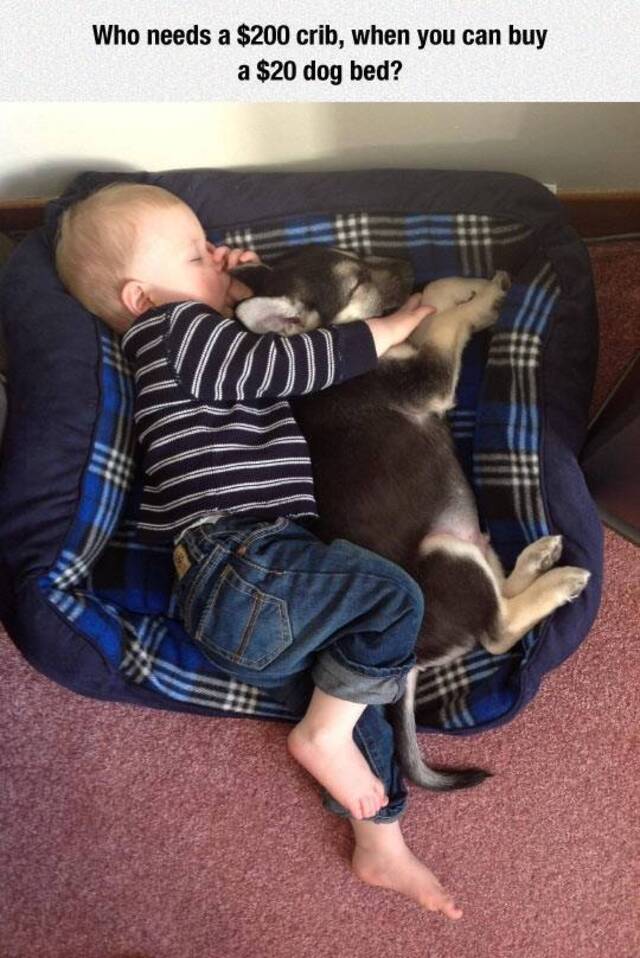 Bildschirmarbeiter - Picdump 03.05.2019