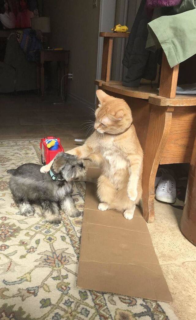 Bildschirmarbeiter - Picdump 03.05.2019