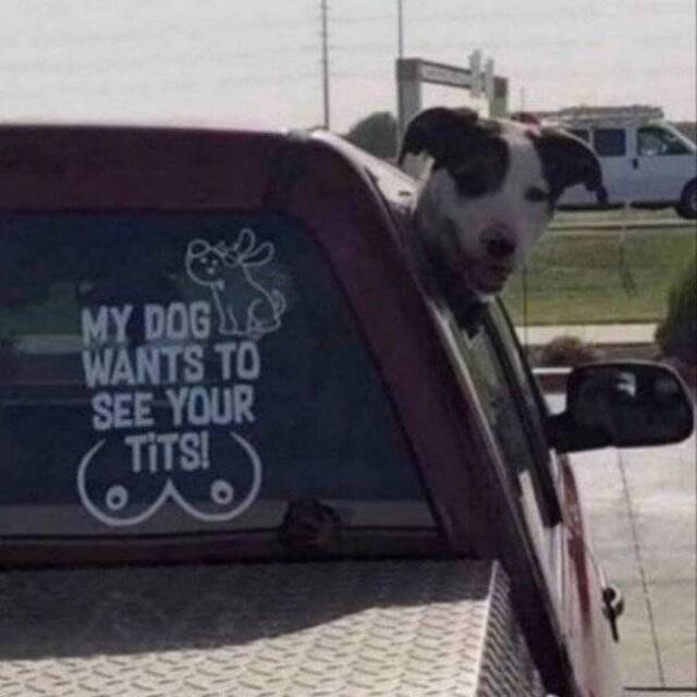 Bildschirmarbeiter - Picdump 03.05.2019