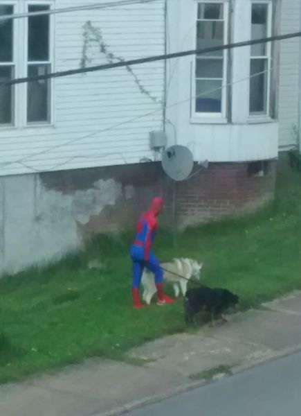 Bildschirmarbeiter - Picdump 08.05.2015