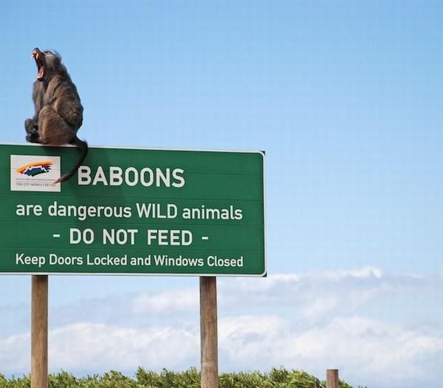 Bildschirmarbeiter - Picdump 08.05.2015