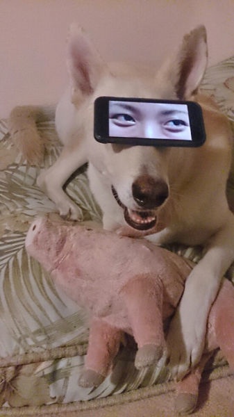 Bildschirmarbeiter - Picdump 08.05.2015