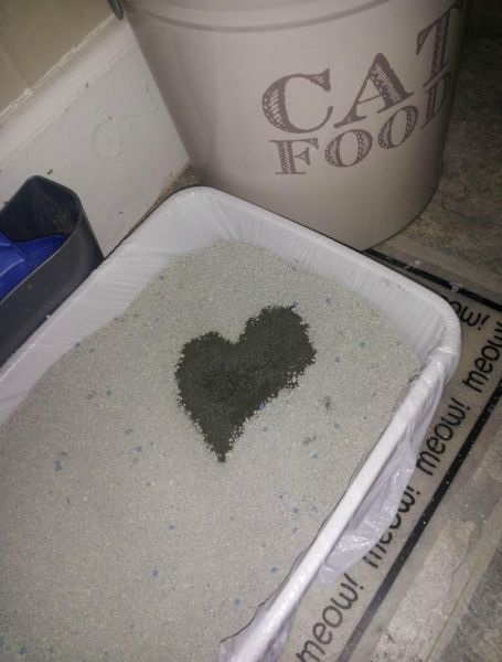 Bildschirmarbeiter - Picdump 08.05.2015