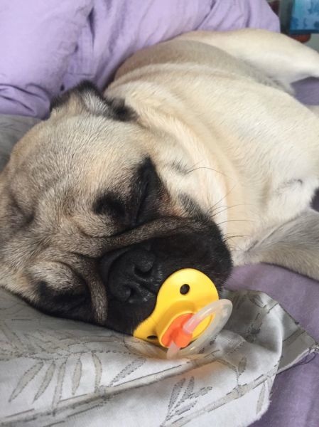 Bildschirmarbeiter - Picdump 08.05.2015