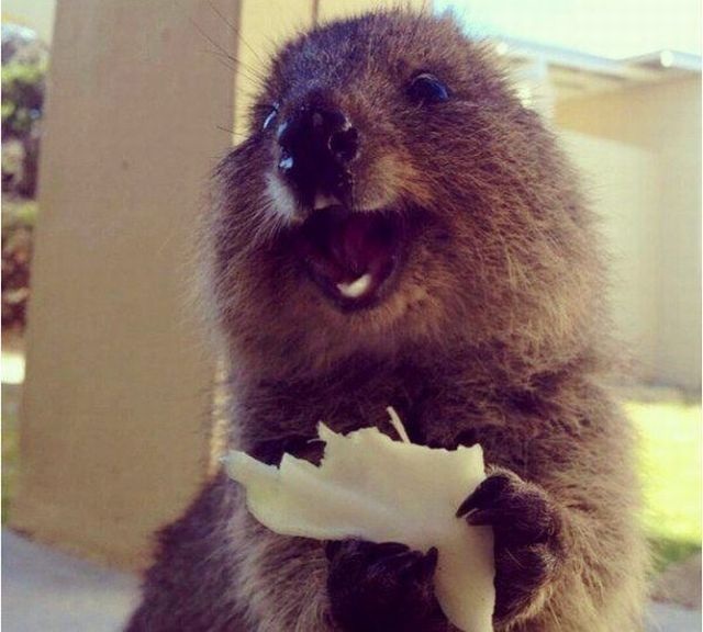 Bildschirmarbeiter - Picdump 08.05.2015