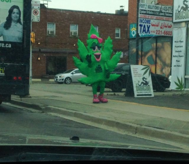 Bildschirmarbeiter - Picdump 08.05.2015