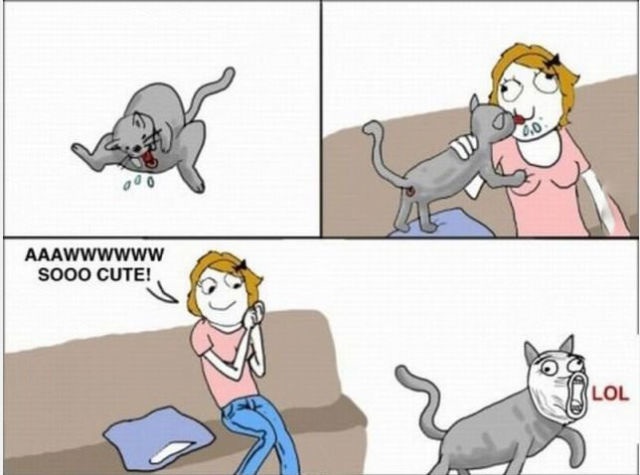 Bildschirmarbeiter - Picdump 08.05.2015