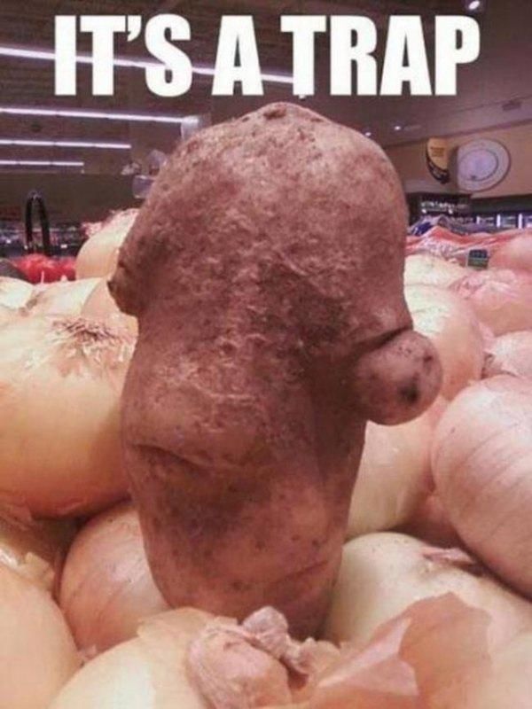 Bildschirmarbeiter - Picdump 08.05.2015