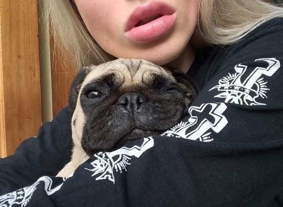 Bildschirmarbeiter - Picdump 08.05.2015