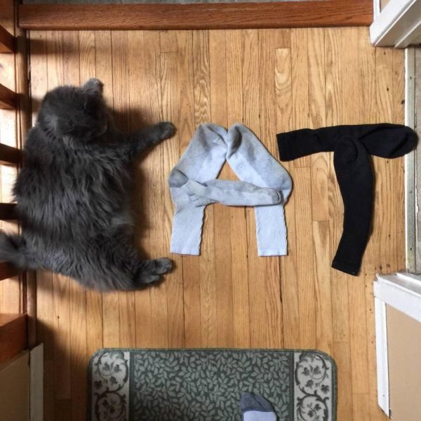 Bildschirmarbeiter - Picdump 08.05.2015