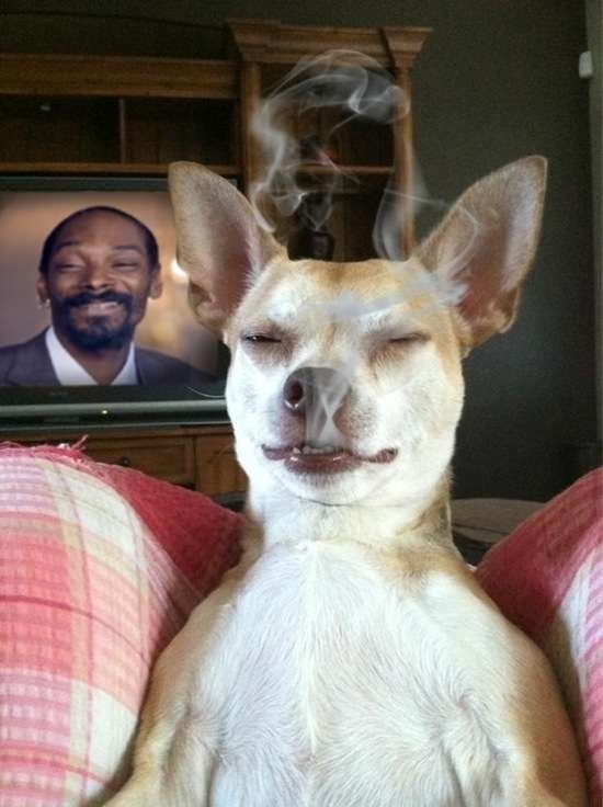 Bildschirmarbeiter - Picdump 08.05.2015