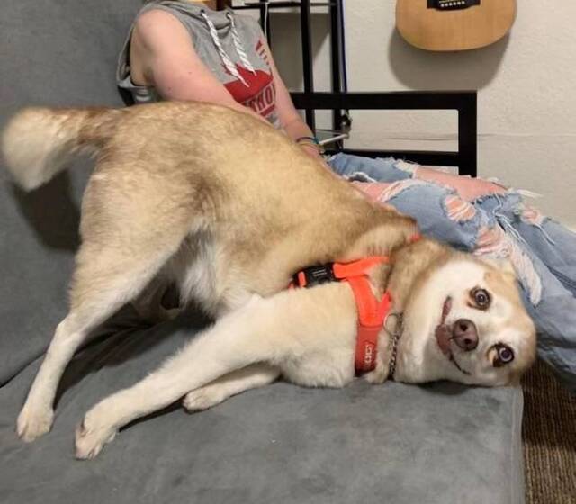 Bildschirmarbeiter - Picdump 10.05.2019